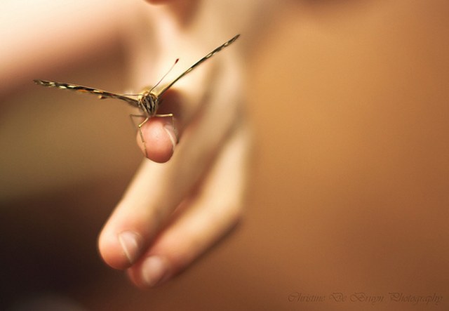 云呼网页版在线轰炸机